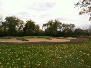 project update on gold green in the fall