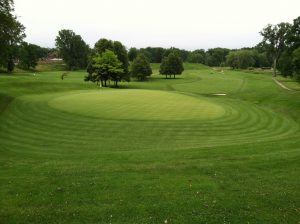 course improvements on golf green